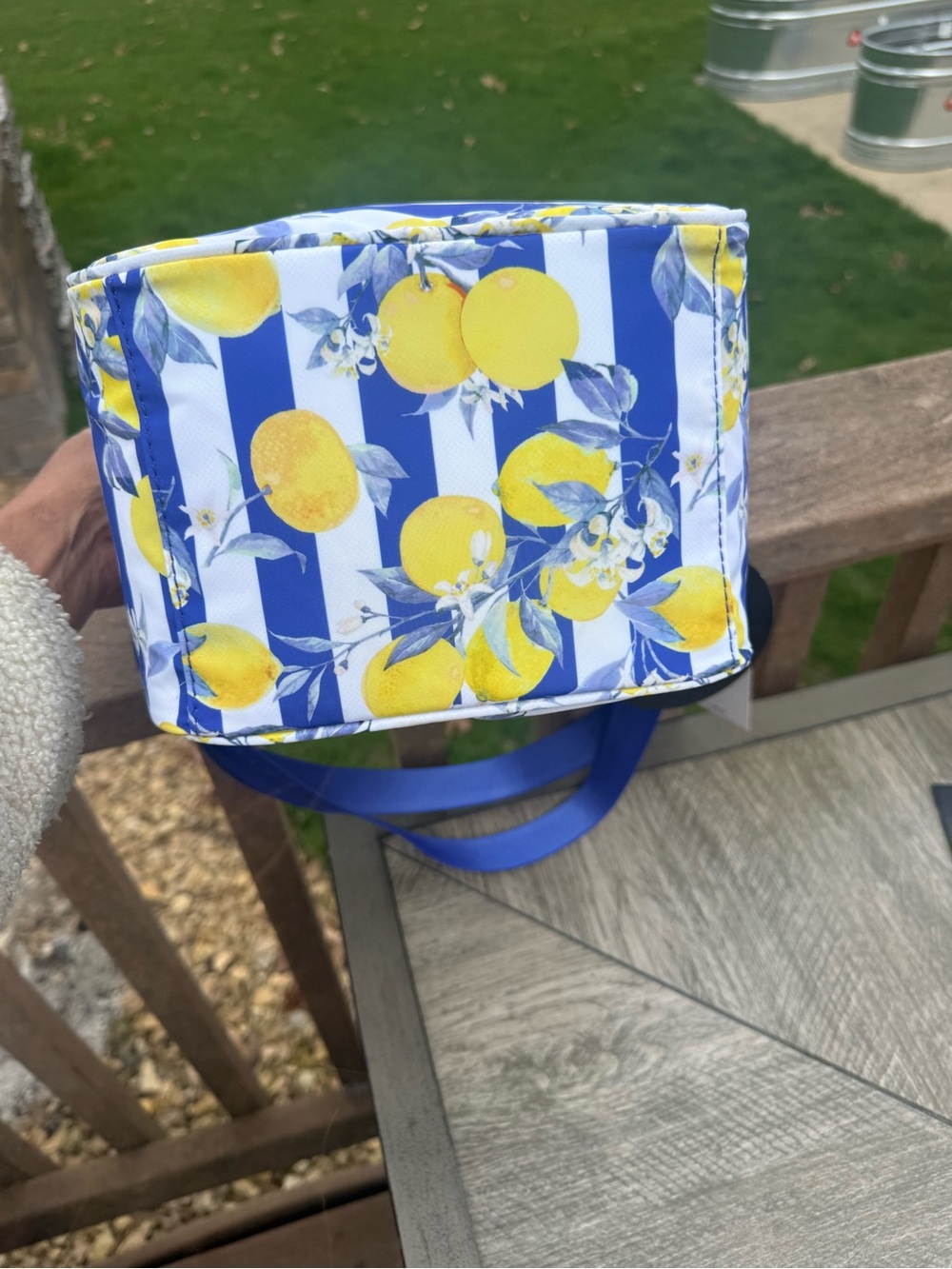 NWT Betsey. Johnson Lemon Stripe Insulated Lunch Crossbody Tote. - Picture 7 of 9